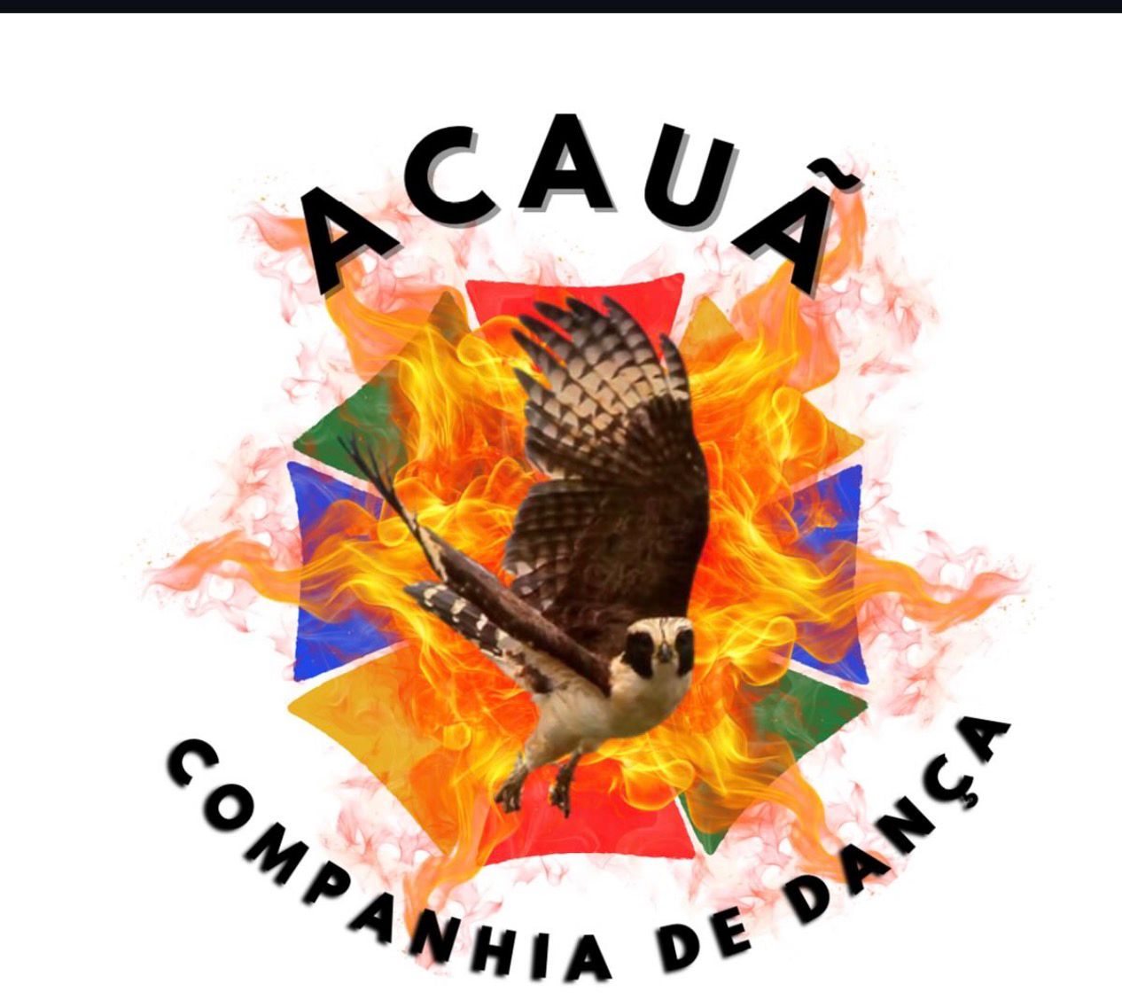 Foto de Companhia de dança/frevo